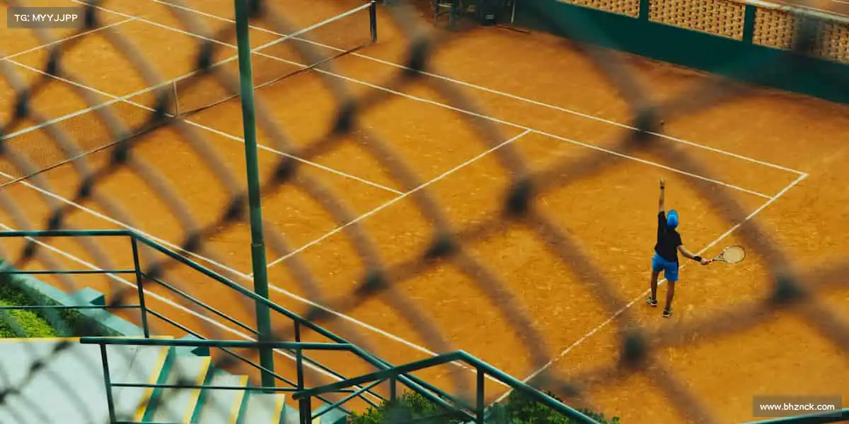 为什么选择我们